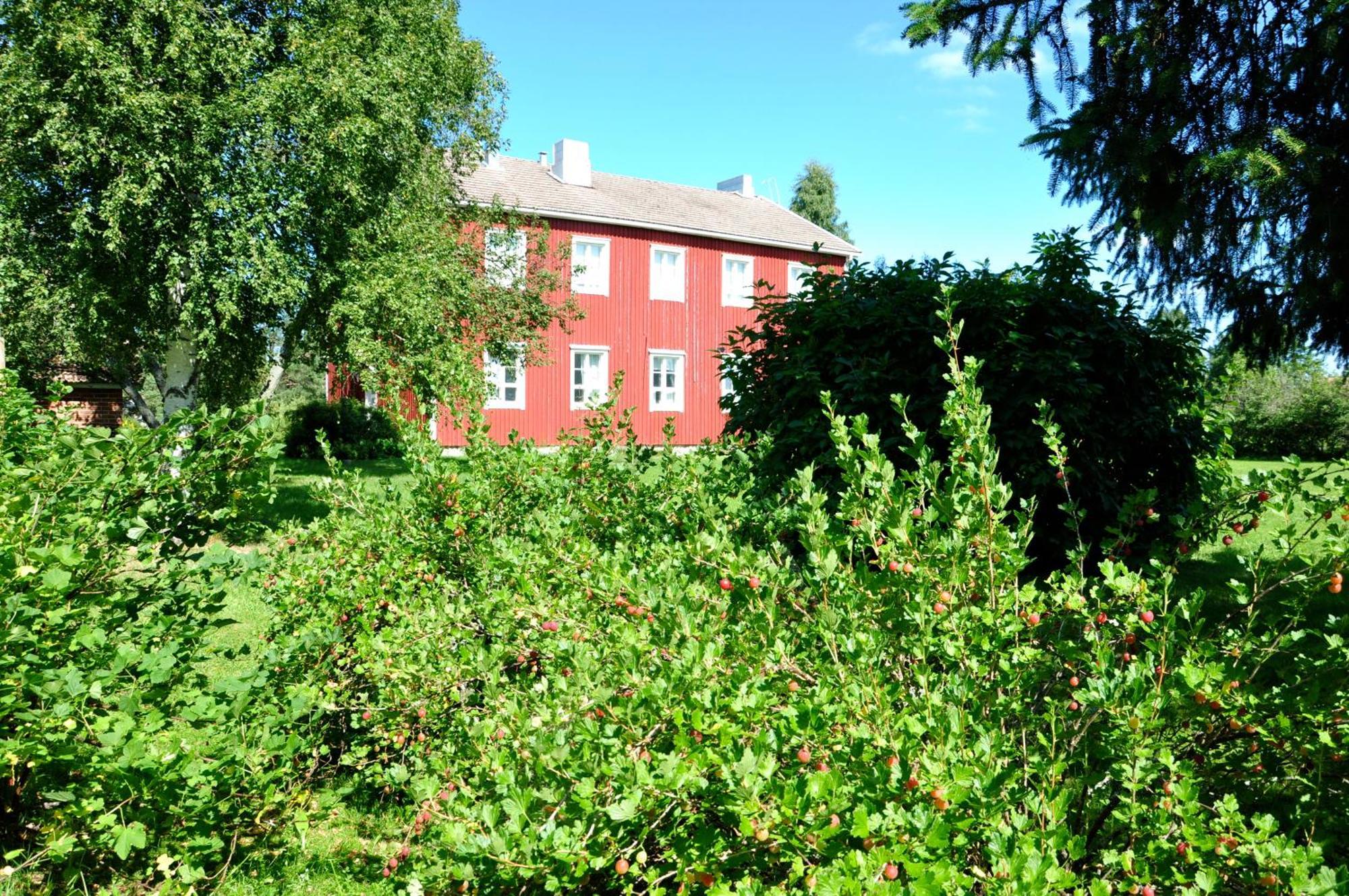 Opintola Bed & Breakfast Norinkyla Екстер'єр фото